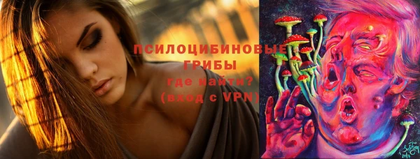 экстази Арсеньев